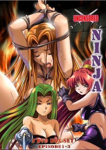 Ninja DVD 1-3 Bundle
